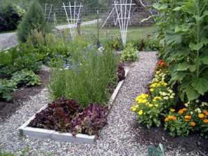 kitchen-garden_home