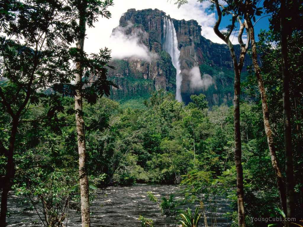 Angel Falls, Orinoco Basin, Canaima National Park, Venezuela