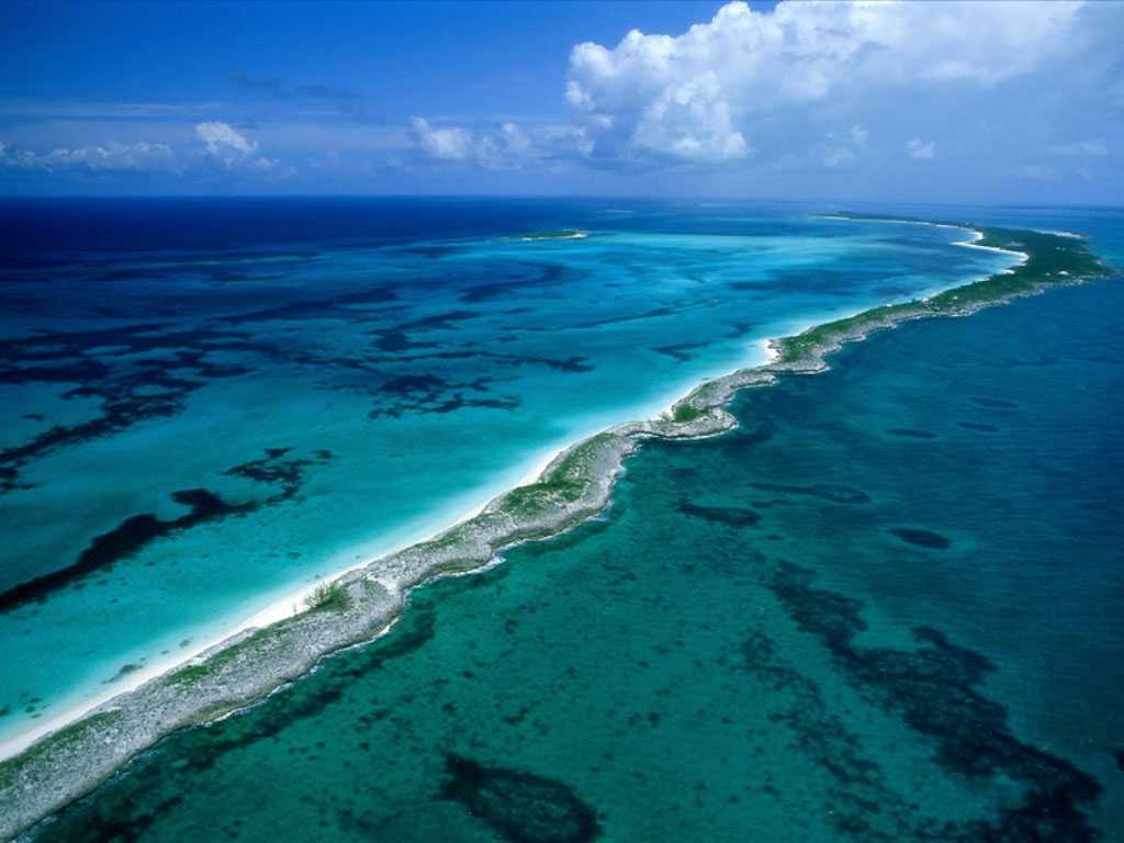 Andros-Coral-Reef, Bahamas