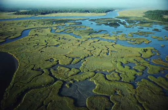 Everglades, Florida, USA