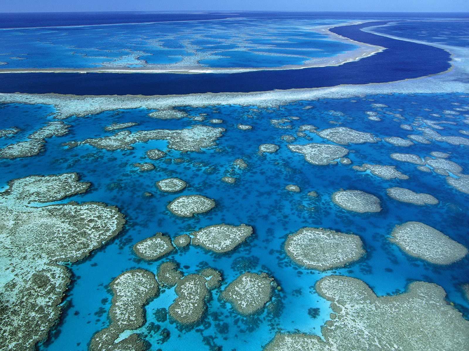 great barrier reef in australia is largest coral reefs on earth