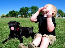 Simple Ways To Keep Your Kids Happy This Summer