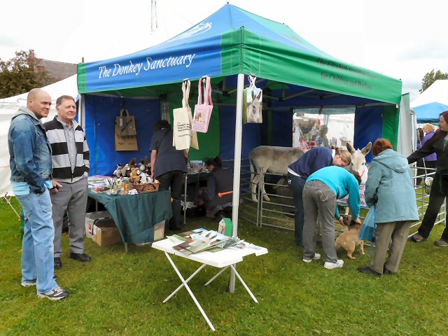 donkey-sanctuary-stall